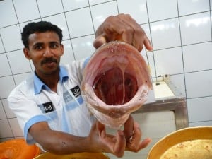 Dubai in 24 ore - fish market